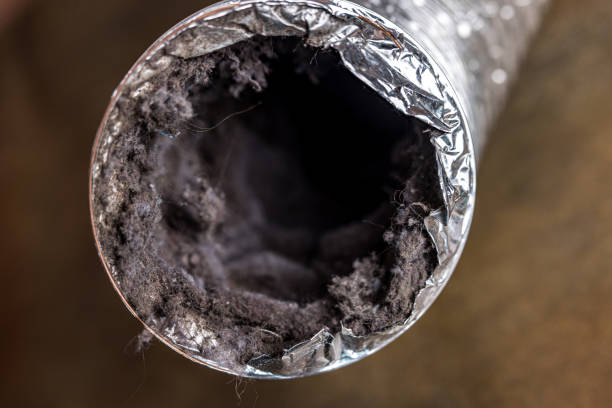 Best HVAC Duct Inspection Services  in Mosheim, TN