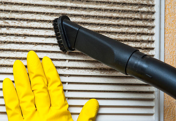 Best Local Air Duct Cleaning Services  in Mosheim, TN